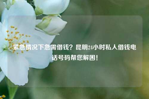 紧急情况下急需借钱？昆明24小时私人借钱电话号码帮您解困！ 银行 私人借款 第1张