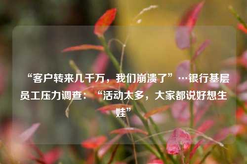 “客户转来几千万，我们崩溃了”…银行基层员工压力调查：“活动太多，大家都说好想生娃” 银行风险 客户经理 银行 行业新闻 第1张