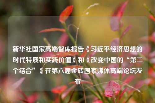 新华社国家高端智库报告《习近平经济思想的时代特质和实践价值》和《改变中国的“第二个结合”》在第六届金砖国家媒体高端论坛发布 经济学 经济 习近平 行业新闻 第1张