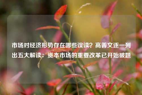 市场对经济形势存在哪些误读？高善文逐一列出五大解读：资本市场的重要改革已开始破题 经济 投资 高善文 行业新闻 第1张