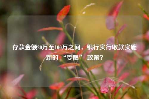 存款金额20万至100万之间，银行实行取款实施新的 “受限” 政策？ 金融 银行 行业新闻 第1张