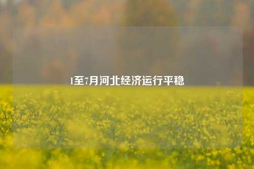 1至7月河北经济运行平稳 国内宏观 河北经济 增加值 行业新闻 第1张