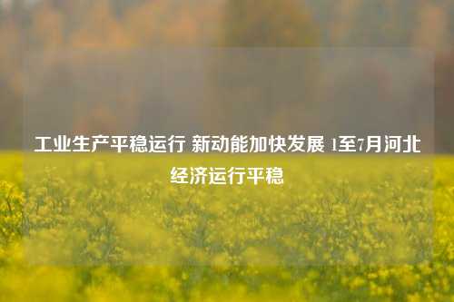 工业生产平稳运行 新动能加快发展 1至7月河北经济运行平稳 河北经济 工业生产 增加值 行业新闻 第1张