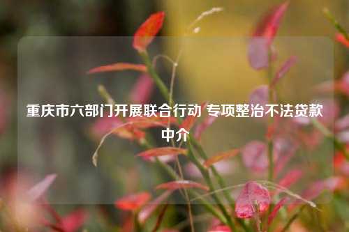 重庆市六部门开展联合行动 专项整治不法贷款中介 法制 行业新闻 第1张