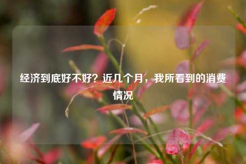 经济到底好不好？近几个月，我所看到的消费情况 经济 行业新闻 第1张