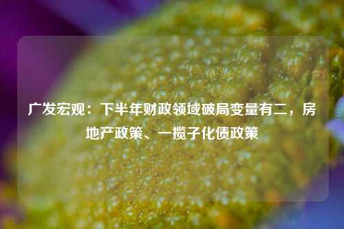广发宏观：下半年财政领域破局变量有二，房地产政策、一揽子化债政策 房地产业 宏观经济 国内宏观 行业新闻 第1张