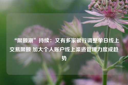 “限额潮”持续：又有多家银行调整单日线上交易限额 加大个人账户线上渠道管理力度成趋势 交易银行 渠道管理 银行 行业新闻 第1张