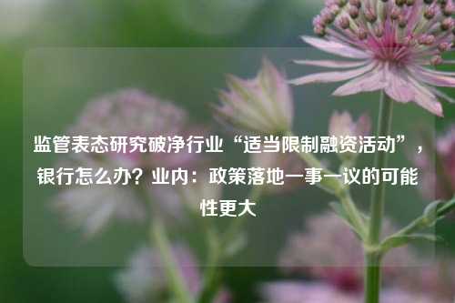 监管表态研究破净行业“适当限制融资活动”，银行怎么办？业内：政策落地一事一议的可能性更大 银行监管 银行融资 银行 行业新闻 第1张