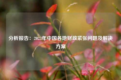 分析报告：2023年中国各地财政紧张问题及解决方案 时政 财政制度 行业新闻 第1张