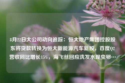 8月22日大公司动向追踪：恒大地产集团控股股东将贷款转换为恒大新能源汽车新股，百度Q2营收同比增长15%，海飞丝回应洗发水现虫卵… 恒大地产集团 恒大 新能源 行业新闻 第1张