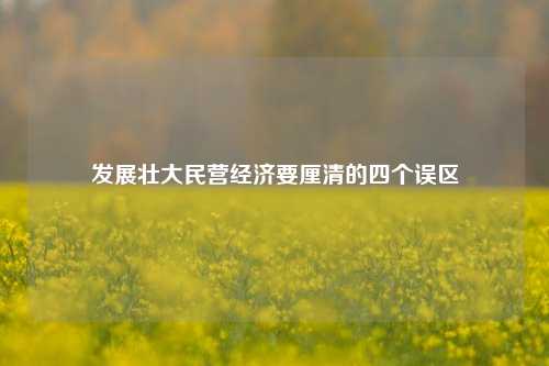 发展壮大民营经济要厘清的四个误区 国内宏观 经济 民营经济 行业新闻 第1张
