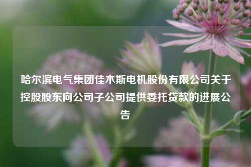哈尔滨电气集团佳木斯电机股份有限公司关于控股股东向公司子公司提供委托贷款的进展公告 理财产品 佳木斯电机股份有限公司 委贷 行业新闻 第1张