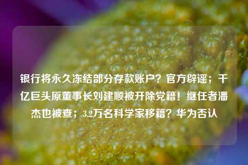 银行将永久冻结部分存款账户？官方辟谣；千亿巨头原董事长刘建顺被开除党籍！继任者潘杰也被查；3.2万名科学家移籍？华为否认 银行 行业新闻 第1张