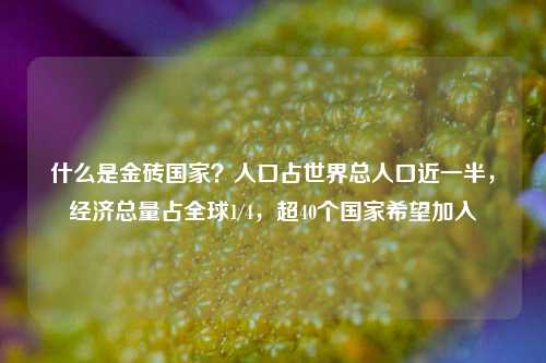什么是金砖国家？人口占世界总人口近一半，经济总量占全球1/4，超40个国家希望加入 金砖国家 金砖 时政外交 行业新闻 第1张