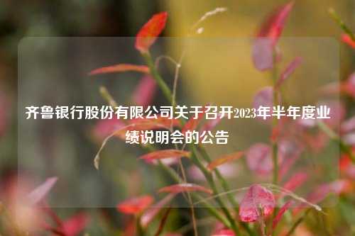 齐鲁银行股份有限公司关于召开2023年半年度业绩说明会的公告 银行 齐鲁 齐鲁银行 行业新闻 第1张