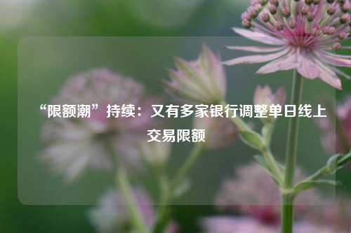 “限额潮”持续：又有多家银行调整单日线上交易限额 交易银行 银行 行业新闻 第1张
