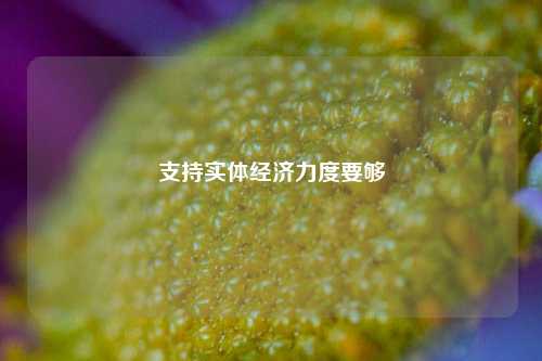 支持实体经济力度要够 经济 实体经济 金融 行业新闻 第1张
