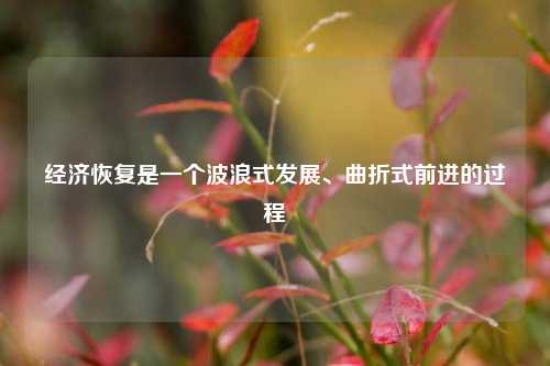 经济恢复是一个波浪式发展、曲折式前进的过程 国内宏观 经济 经济风险 行业新闻 第1张