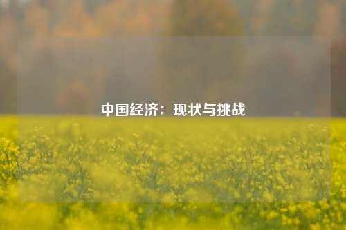 中国经济：现状与挑战 宏观经济 中国现状 经济 行业新闻 第1张