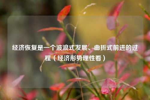 经济恢复是一个波浪式发展、曲折式前进的过程（经济形势理性看） 国内宏观 经济 经济风险 行业新闻 第1张