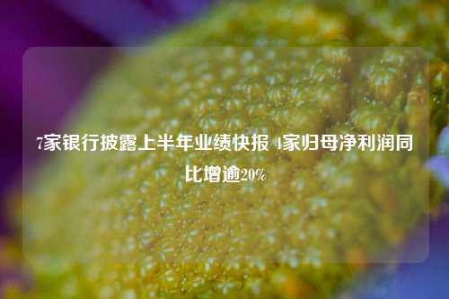 7家银行披露上半年业绩快报 4家归母净利润同比增逾20% 不良贷款率 成都银行 银行 行业新闻 第1张