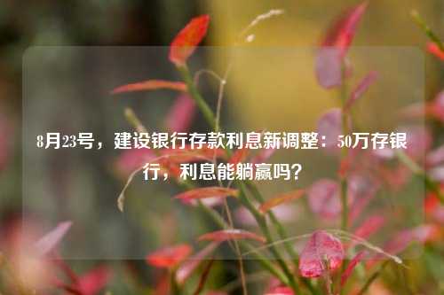 8月23号，建设银行存款利息新调整：50万存银行，利息能躺赢吗？ 大额存单利率 中国建设银行 银行 行业新闻 第1张