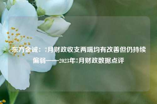 东方金诚：7月财政收支两端均有改善但仍持续偏弱——2023年7月财政数据点评 宏观经济 持续改善 国内宏观 行业新闻 第1张