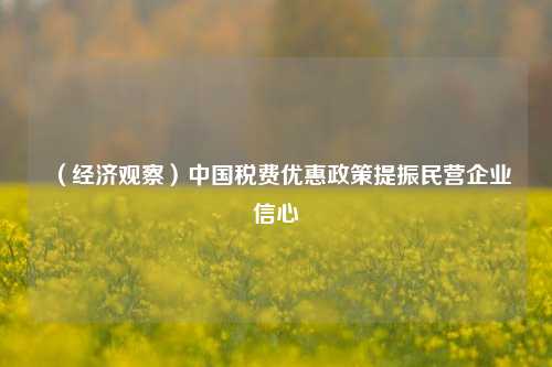 （经济观察）中国税费优惠政策提振民营企业信心 宏观经济 国内宏观 行业新闻 第1张