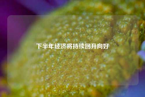 下半年经济将持续回升向好 经济 行业新闻 第1张