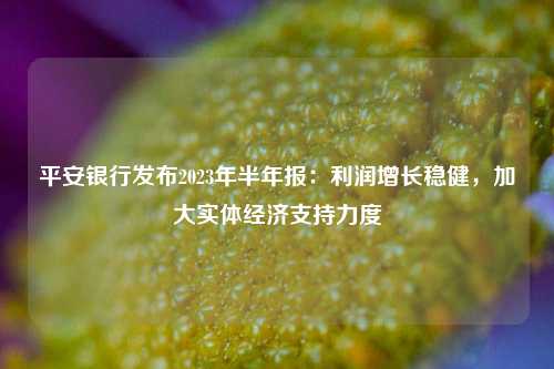 平安银行发布2023年半年报：利润增长稳健，加大实体经济支持力度 实体经济 年末资产总额 平安银行 行业新闻 第1张