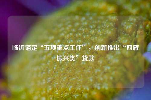 临沂锚定“五项重点工作”，创新推出“四雁振兴类”贷款 金融 行业新闻 第1张