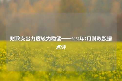 财政支出力度较为稳健——2023年7月财政数据点评 预算 宏观经济 财政支出 行业新闻 第1张