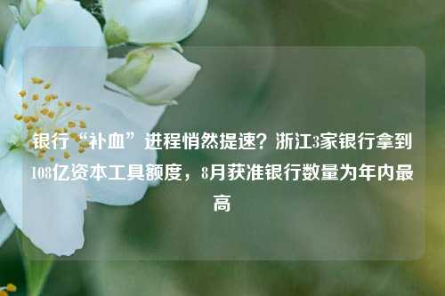 银行“补血”进程悄然提速？浙江3家银行拿到108亿资本工具额度，8月获准银行数量为年内最高 泰隆银行 银行资本 银行 行业新闻 第1张