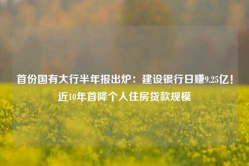 首份国有大行半年报出炉：建设银行日赚9.25亿！近10年首降个人住房贷款规模 银行业 中国建设银行 行业新闻 第1张