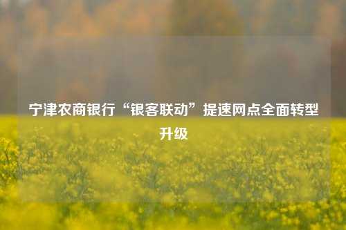 宁津农商银行“银客联动”提速网点全面转型升级 银行 农商 市场营销 行业新闻 第1张