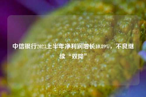 中信银行2023上半年净利润增长10.89%，不良继续“双降” 银行 年末资产总额 中信银行 行业新闻 第1张