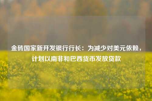 金砖国家新开发银行行长：为减少对美元依赖，计划以南非和巴西货币发放贷款 巴西总统 巴西经济 开发银行 行业新闻 第1张
