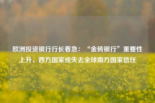 欧洲投资银行行长着急：“金砖银行”重要性上升，西方国家或失去全球南方国家信任 银行 金砖 时政外交 行业新闻 第1张