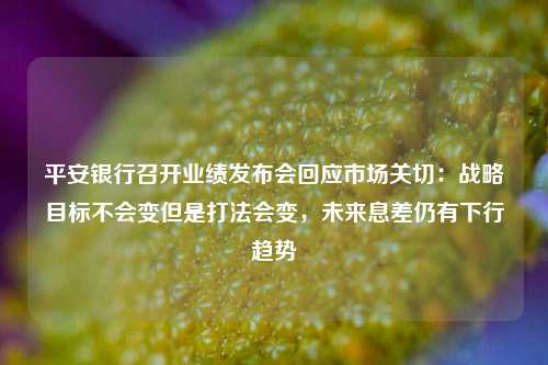 平安银行召开业绩发布会回应市场关切：战略目标不会变但是打法会变，未来息差仍有下行趋势 银行业 年末资产总额 平安银行 行业新闻 第1张