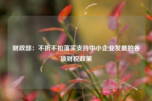 财政部：不折不扣落实支持中小企业发展的各项财税政策 中小企业融资 国内宏观 财税政策 行业新闻 第1张