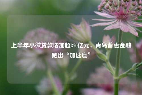 上半年小微贷款增加超370亿元，青岛普惠金融跑出“加速度” 信贷业务 信贷规模 金融 行业新闻 第1张