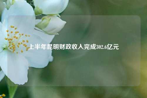 上半年昆明财政收入完成302.6亿元 财政制度 宏观经济 国内宏观 行业新闻 第1张