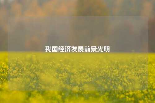 我国经济发展前景光明 世界经济 宏观经济 经济 行业新闻 第1张
