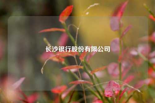 长沙银行股份有限公司 银行 银行监管 长沙银行 行业新闻 第1张