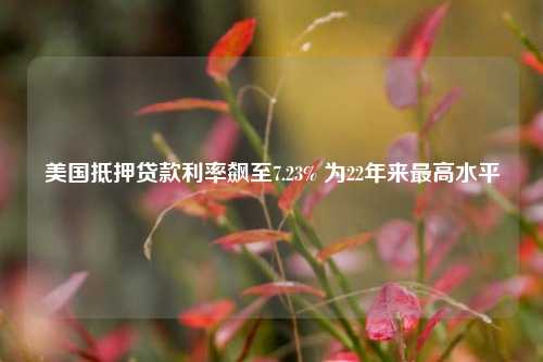 美国抵押贷款利率飙至7.23% 为22年来最高水平 利率 房屋抵押贷款利率 银行贷款利率 行业新闻 第1张