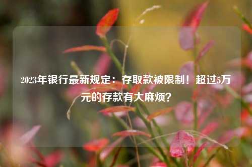 2023年银行最新规定：存取款被限制！超过5万元的存款有大麻烦？ 金融 银行 行业新闻 第1张
