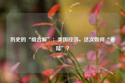 历史的“组合解”：美国经济，这次如何“着陆”？ 经济学 美国加息 硬着陆 行业新闻 第1张