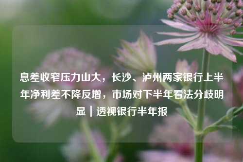 息差收窄压力山大，长沙、泸州两家银行上半年净利差不降反增，市场对下半年看法分歧明显｜透视银行半年报 长沙银行 负债融资 银行 行业新闻 第1张