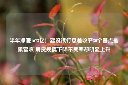 半年净赚1673亿！建设银行息差收窄30个基点拖累营收 房贷规模下降不良率却明显上升 银行业 房贷利率 中国建设银行 行业新闻 第1张