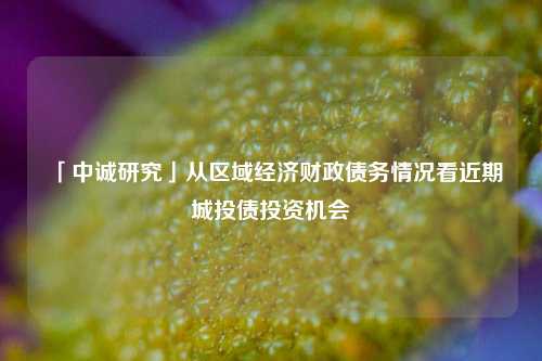 「中诚研究」从区域经济财政债务情况看近期城投债投资机会 投资 经济 城投债 行业新闻 第1张